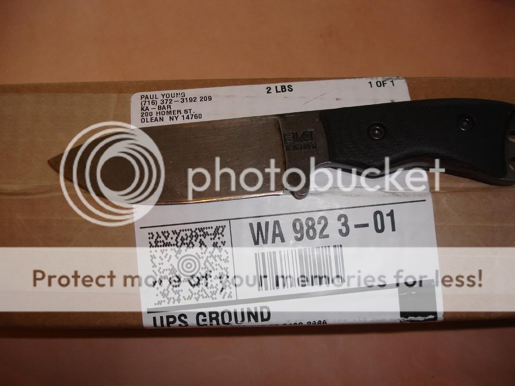 DSC08143.jpg