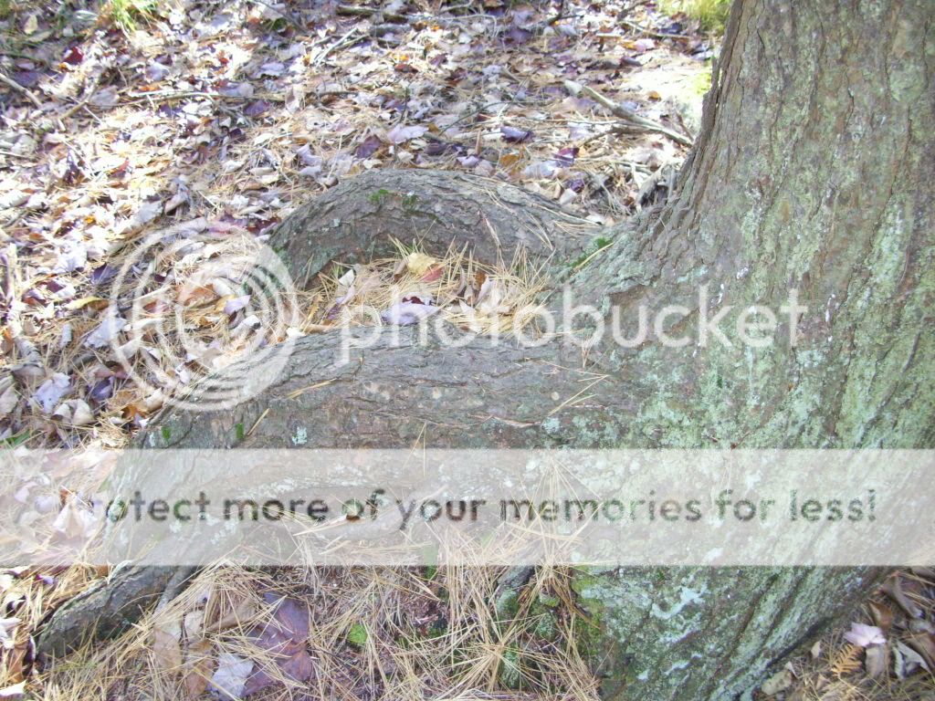 100_1651.jpg