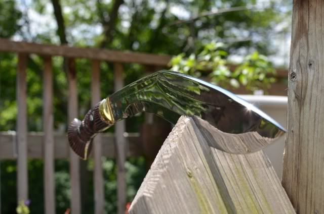 DSC_0088_1.jpg