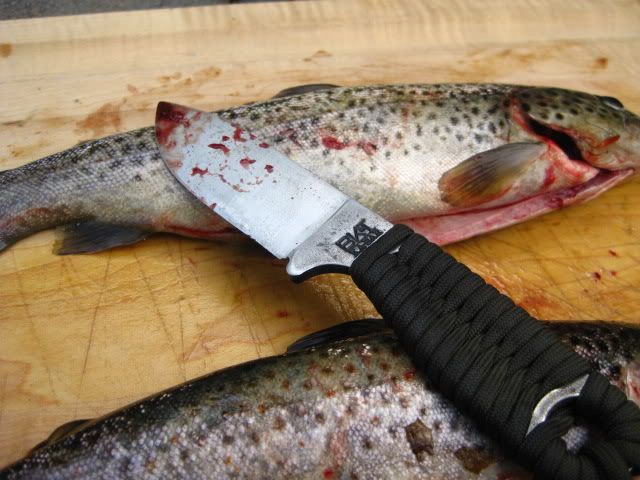 fishingmay2012015.jpg