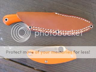 IMG_1438.jpg