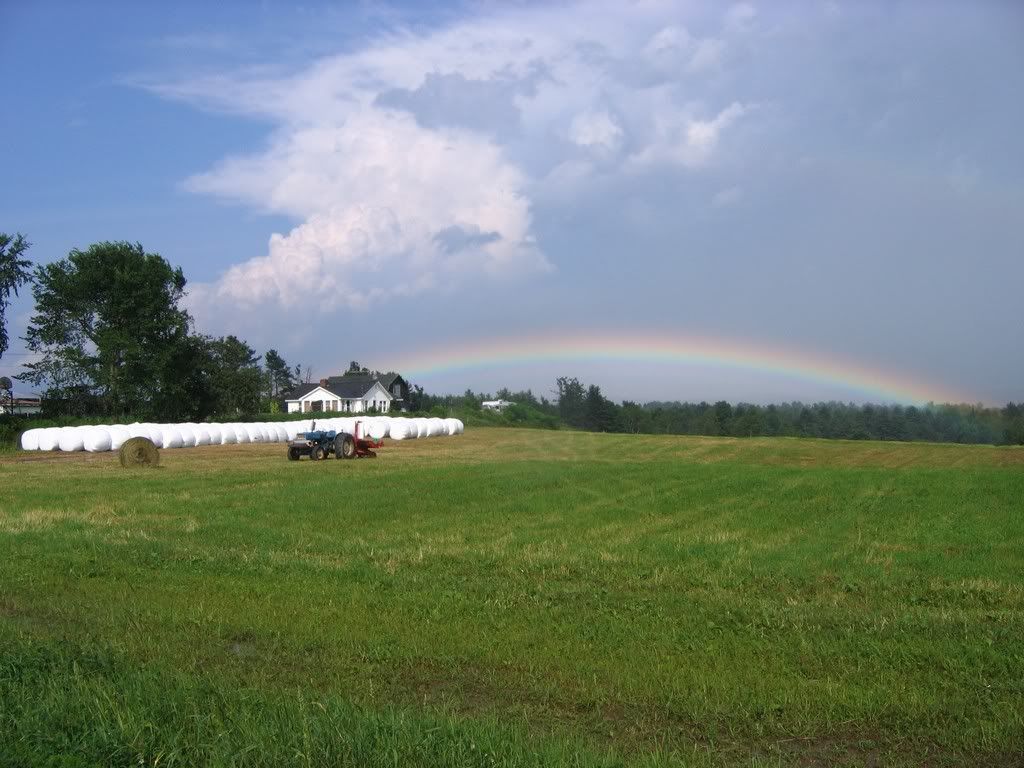 rainbow.jpg