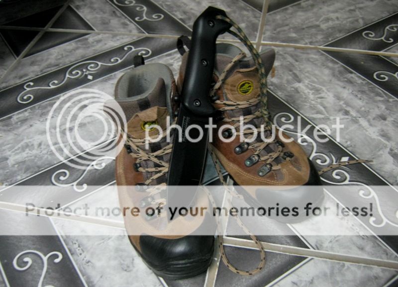 IMG_0152_zps53f406bb.jpg