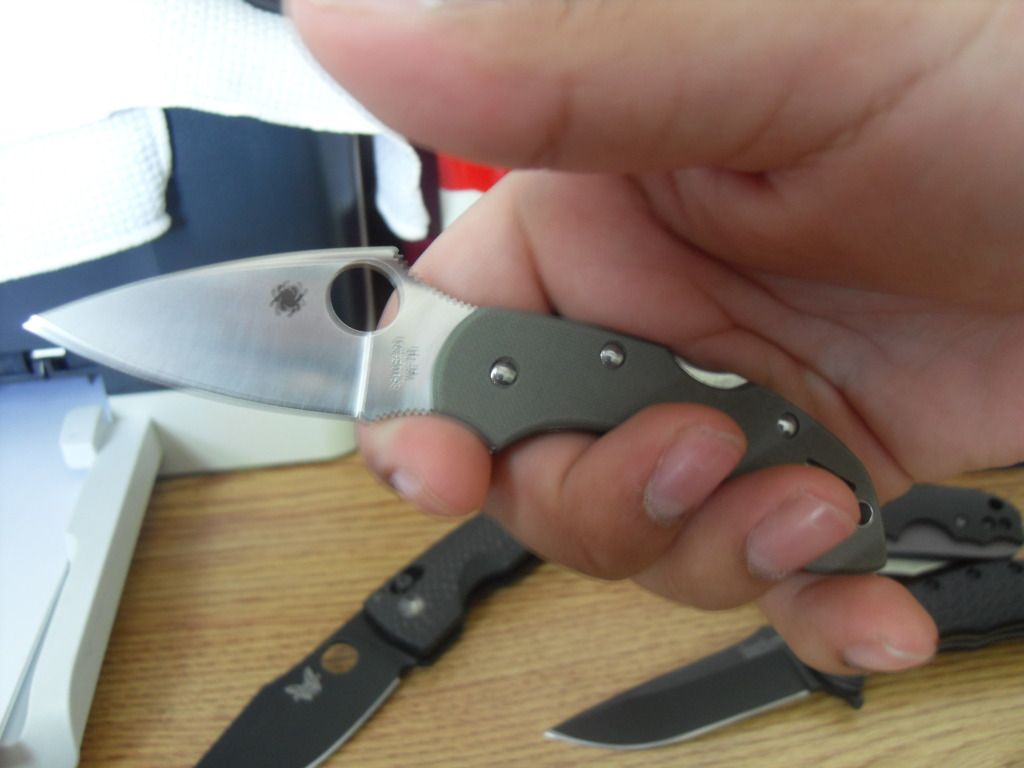 SDC11389.jpg