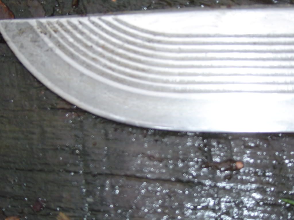 DSC04273.jpg