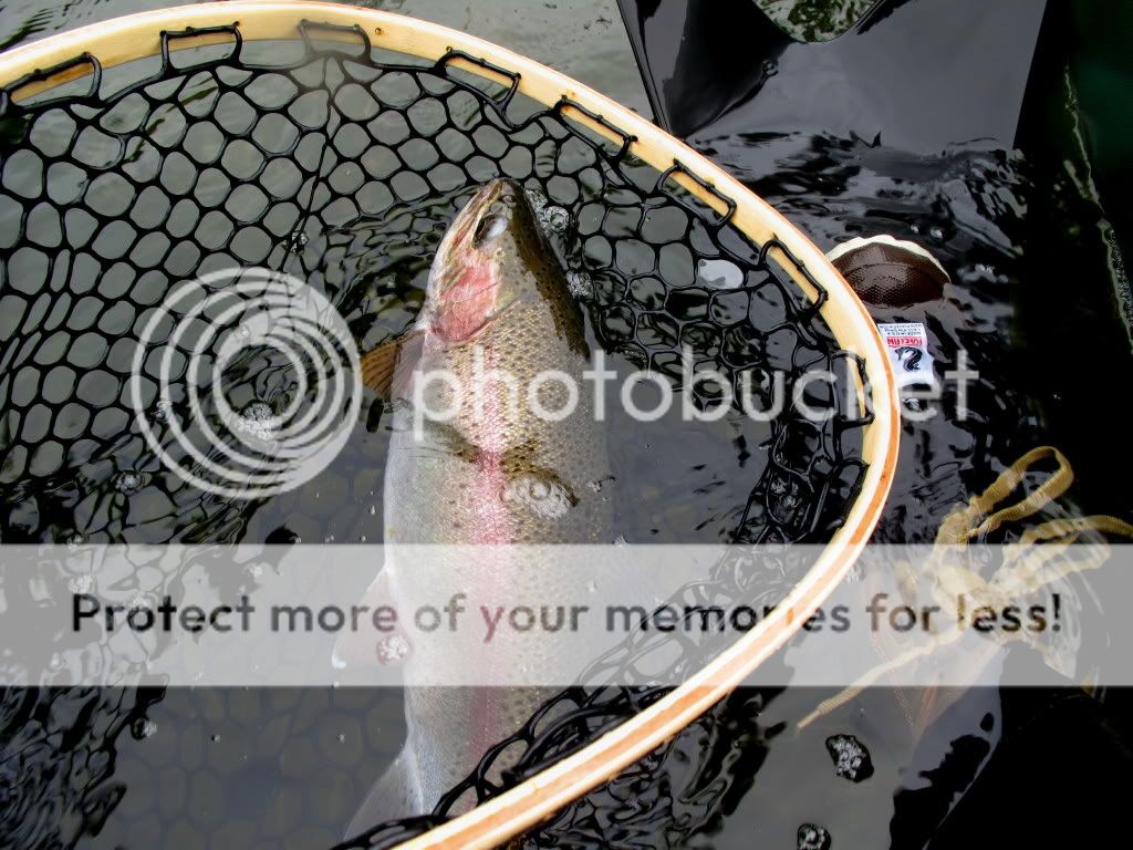 AmberLakeBigRainbowmay2012.jpg