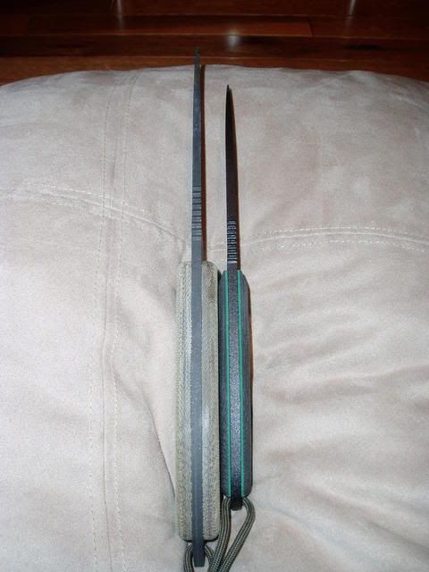 P1010004.jpg