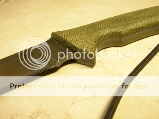 IMGP1163.jpg
