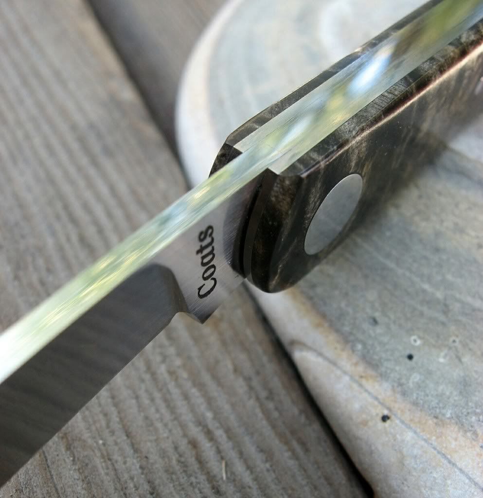 KenCoatsShadowToothpick03.jpg