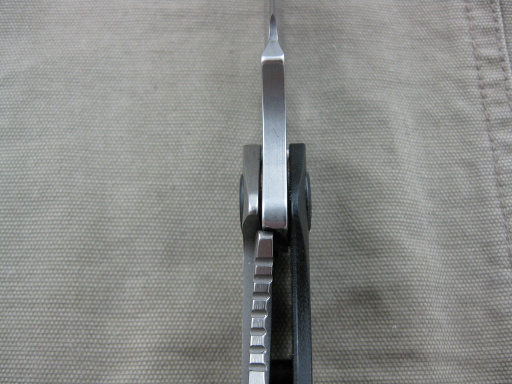 Strider_Blk_SnG_34Grnd_BluLBS_SPA_007.jpg