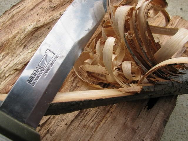 newcamera047.jpg