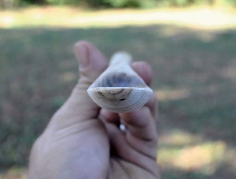 DSC_3487.jpg