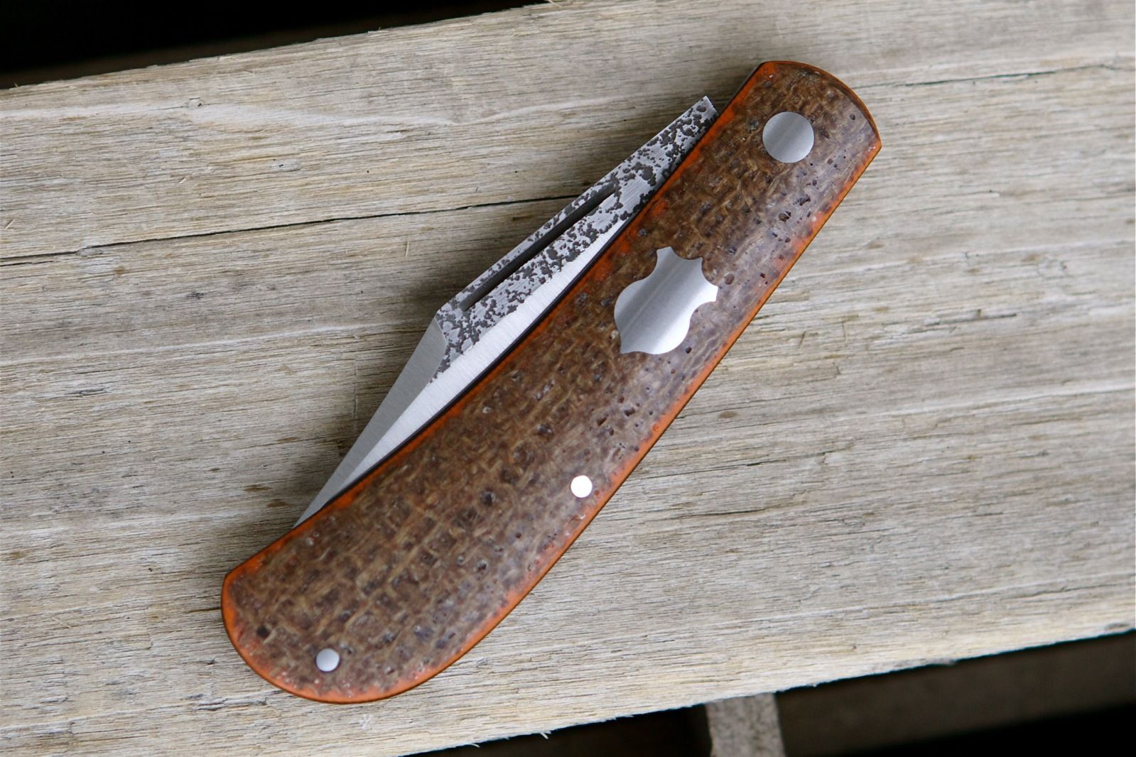 file-50.jpg