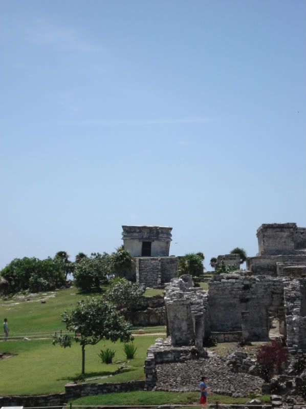 DSC01527-1.jpg