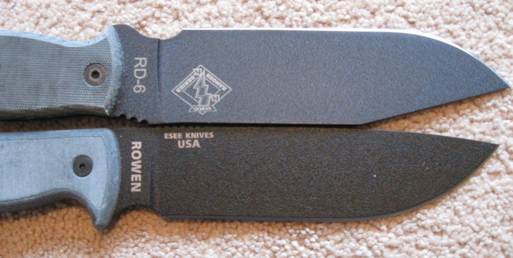 RD6VSEsee6_1.jpg