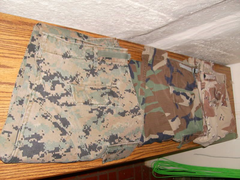 SANY0032.jpg