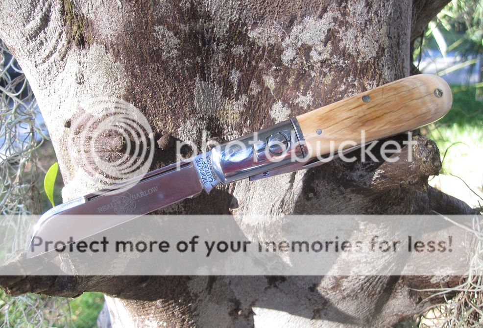 IMG_3404_zps823aa647.jpg~original