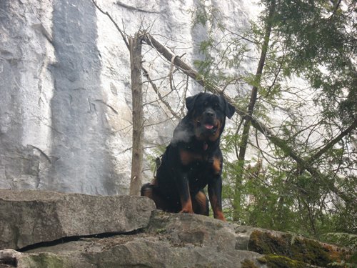 ozhike1.jpg