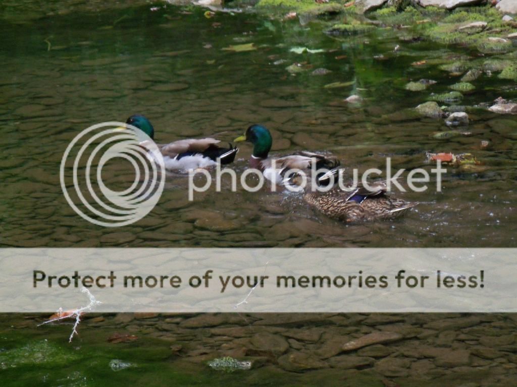 100_5288.jpg