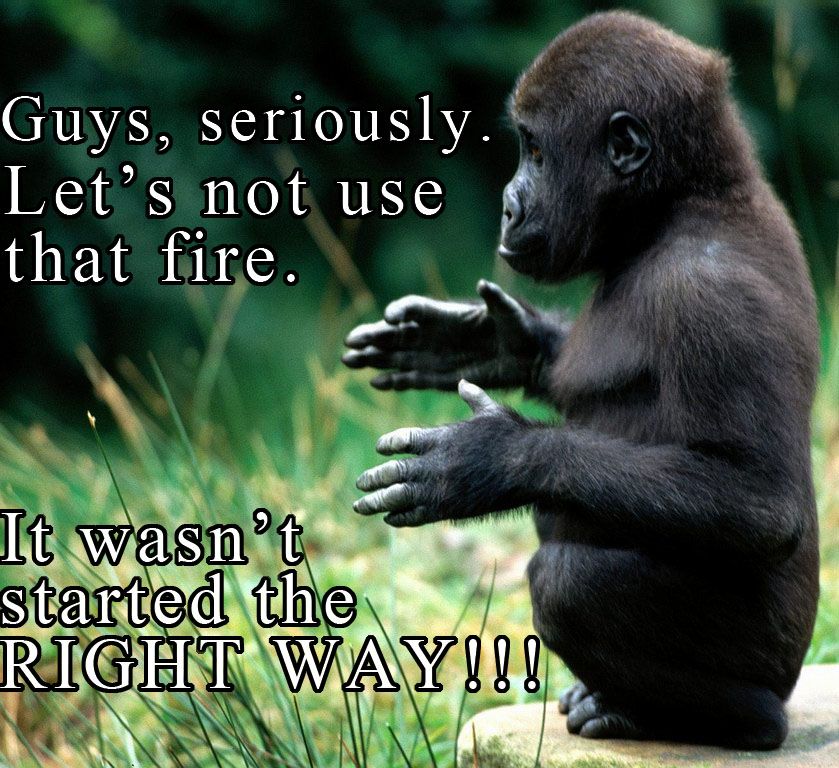 firememe_zps4488ef35.jpg