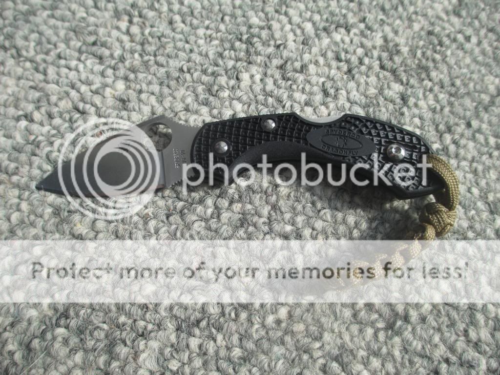 Dragonfly2_zps497cf225.jpg
