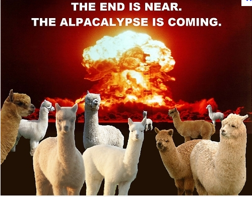 Alpacalypse_zps6f8f449d.png