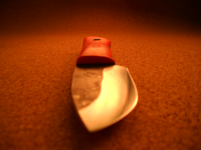 DSCN1854-vi.jpg
