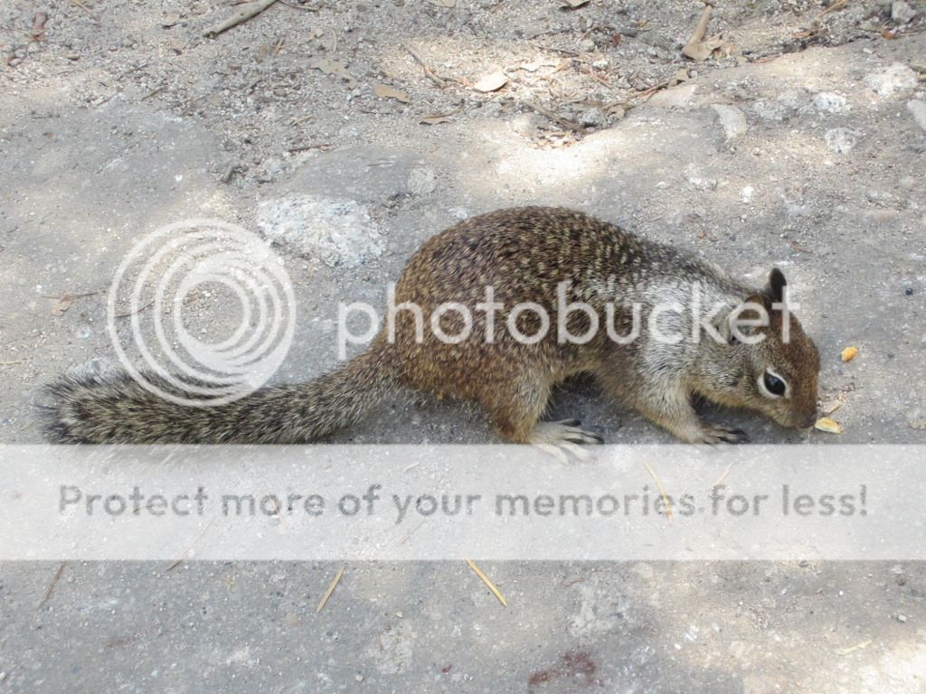 IMG_5263.jpg