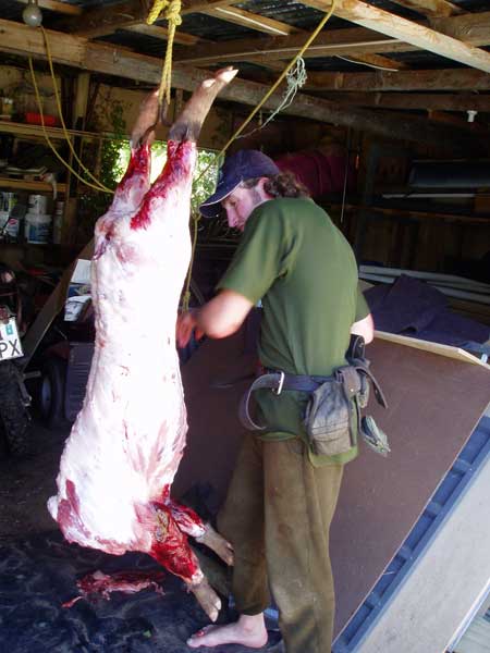 pighunting8.jpg