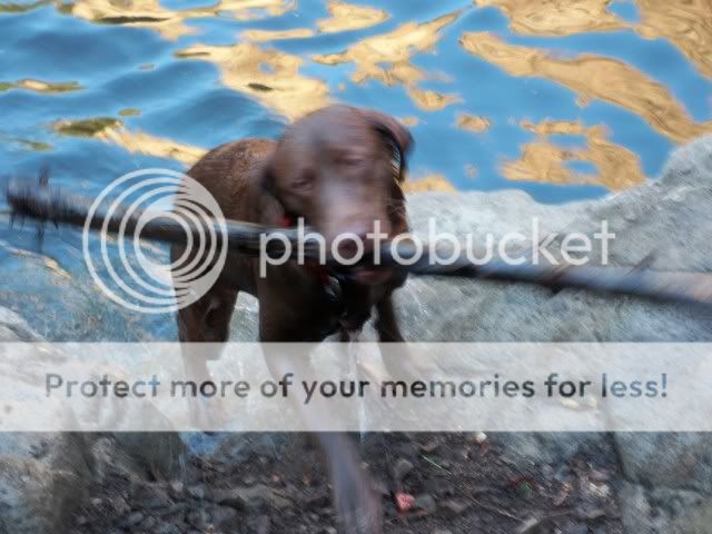 100_0726.jpg