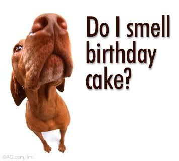 doIsmellbirthdaycake.jpg
