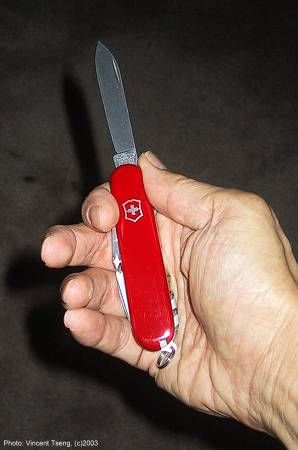 SAK_O.jpg