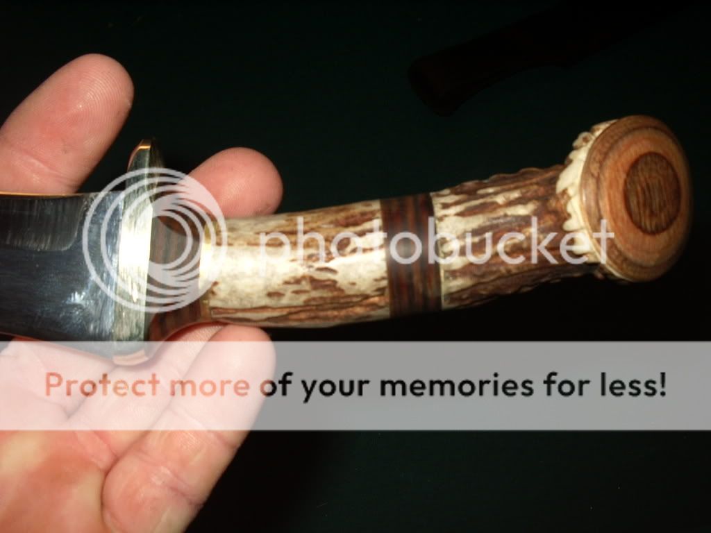IMGP1548.jpg