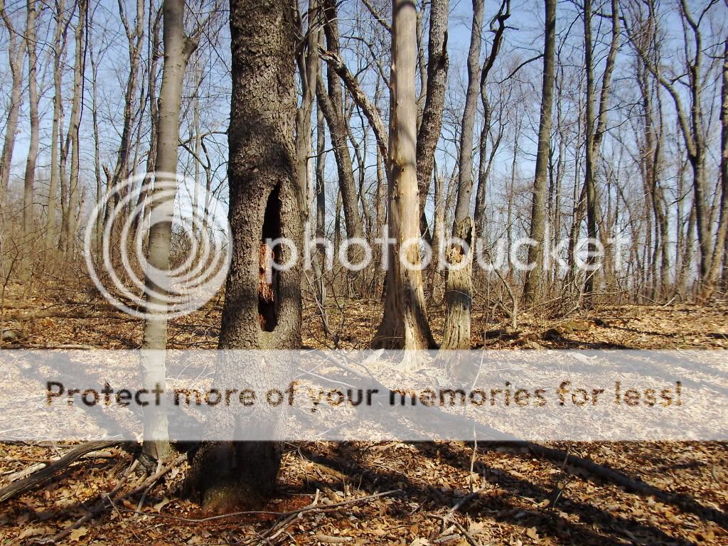 PICT0630.jpg
