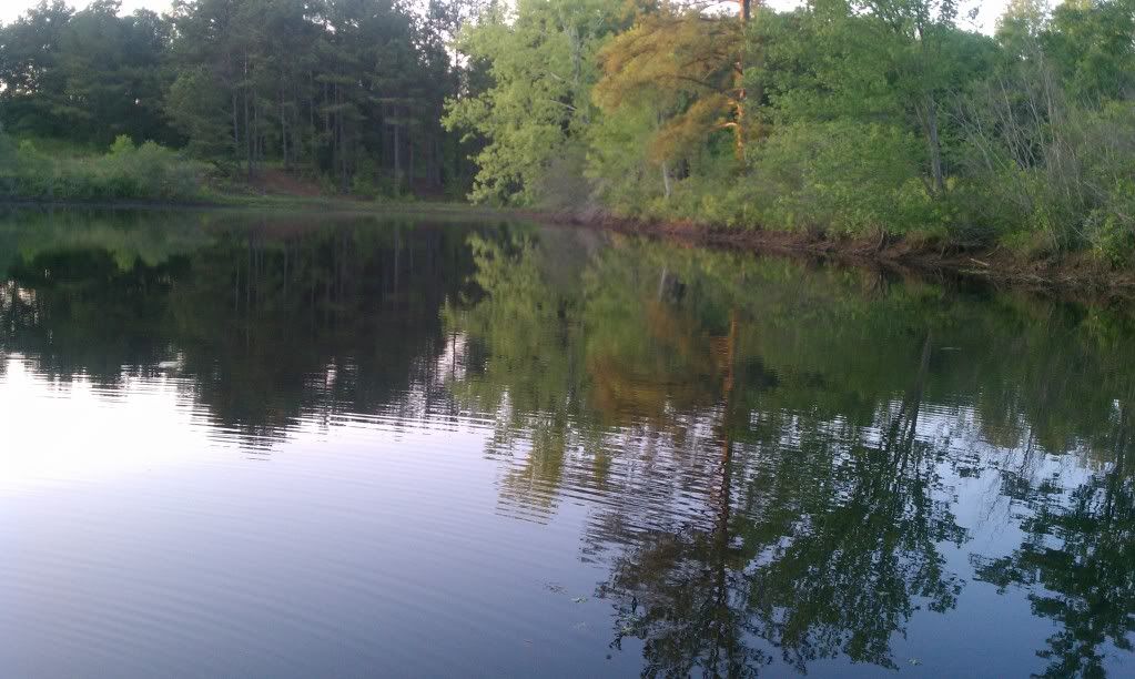 pond2.jpg