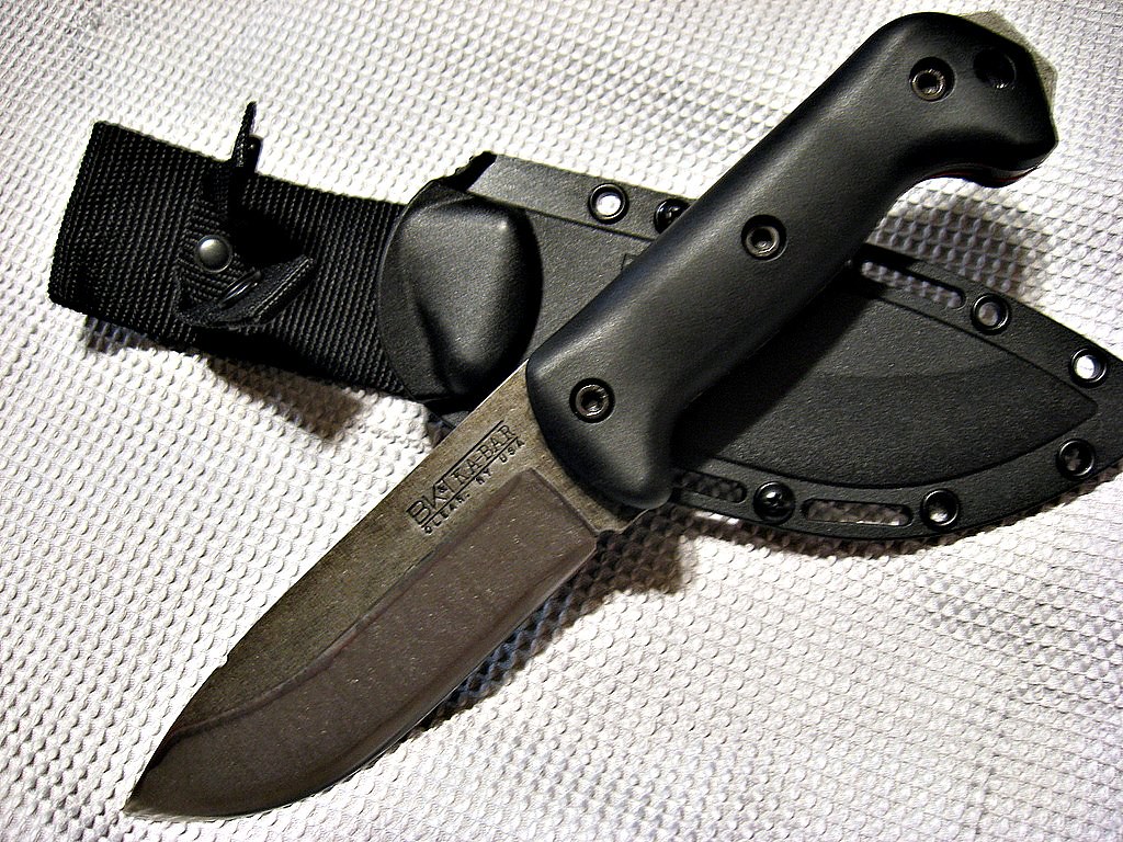 6466735001_d48c990d8e_b.jpg