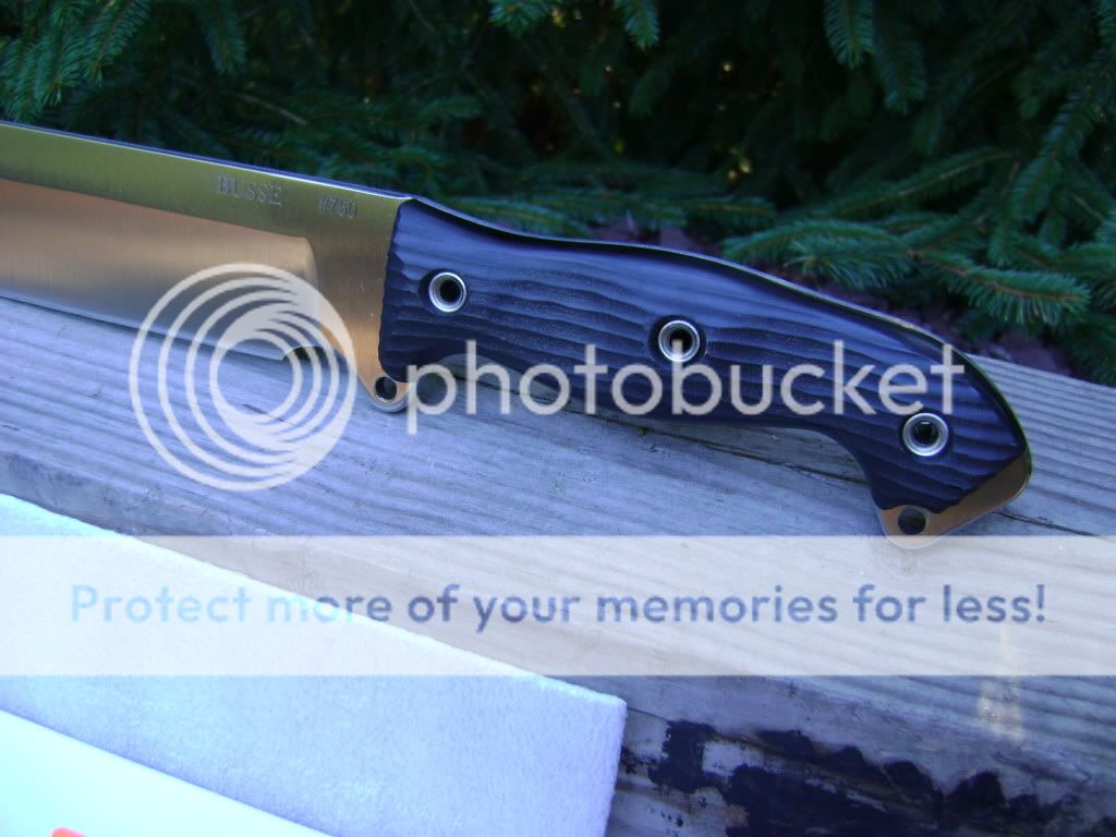2busse005.jpg