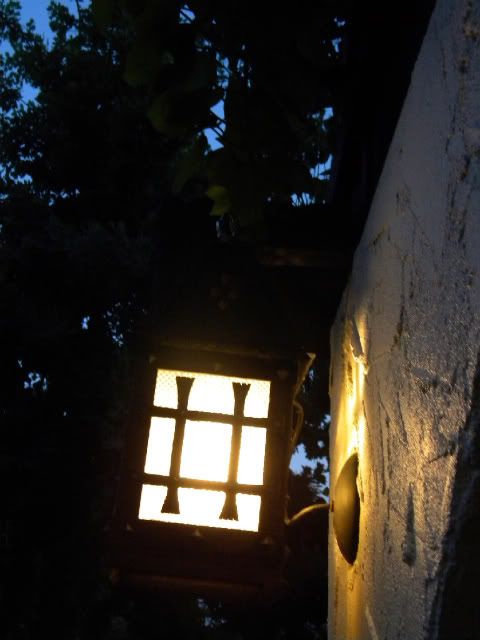 DSCN5279.jpg