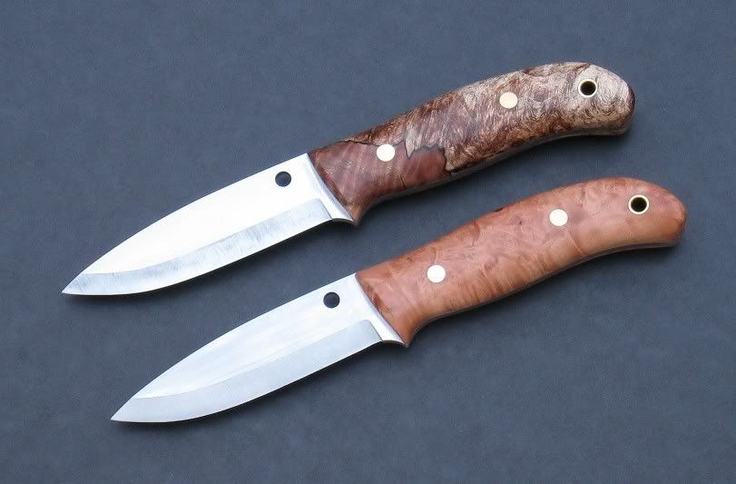 spydiebush_a.jpg