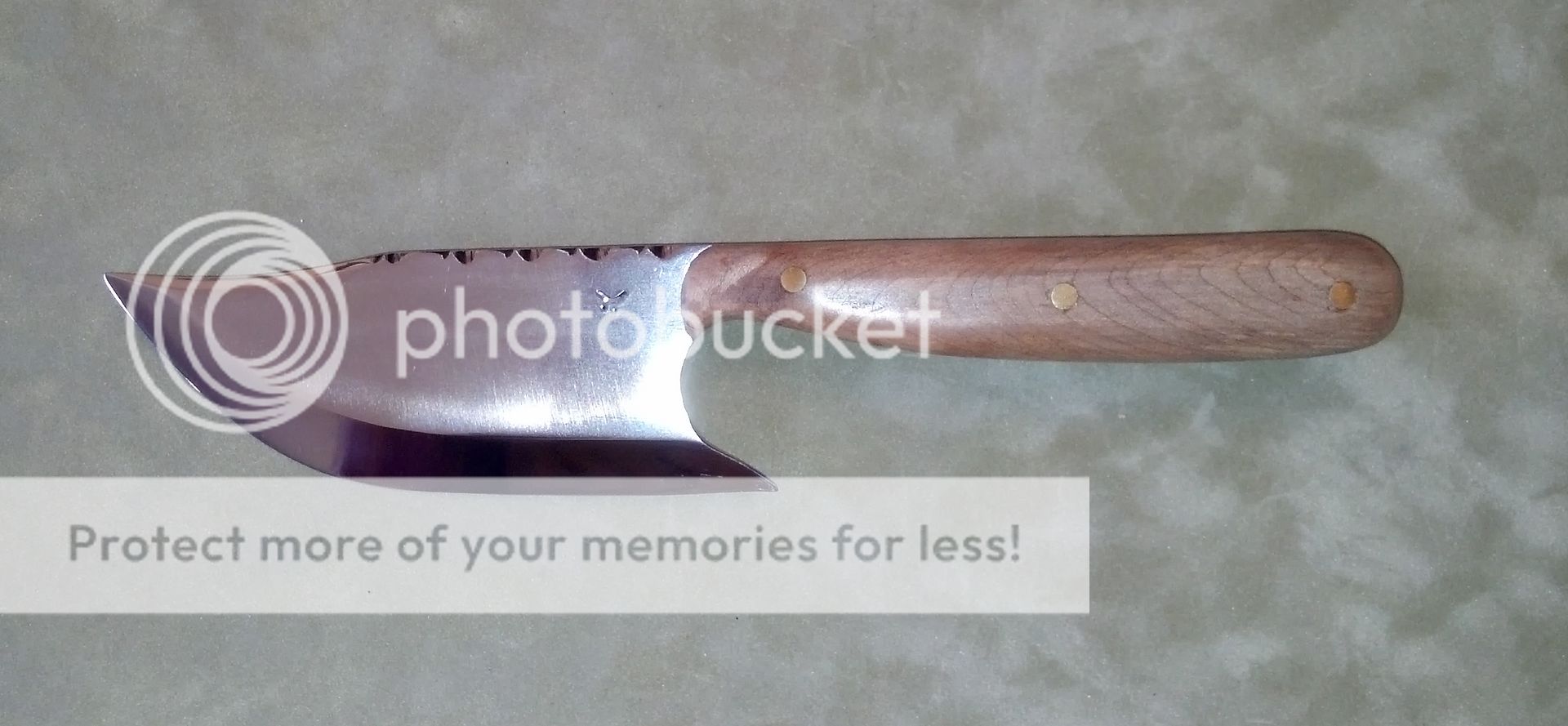 chop1_zpsd6f2db3b.jpg