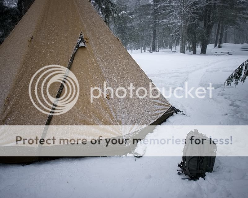 IMG_2904.jpg