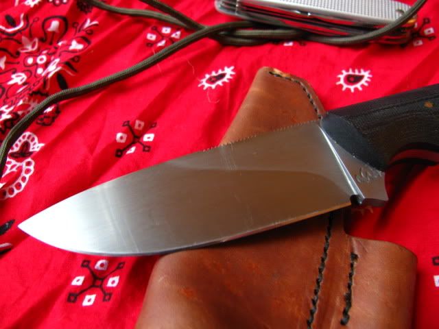nwa004.jpg