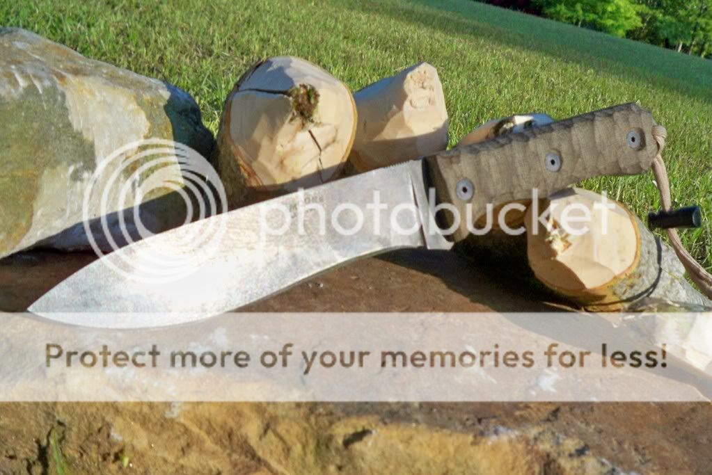 wds5.jpg