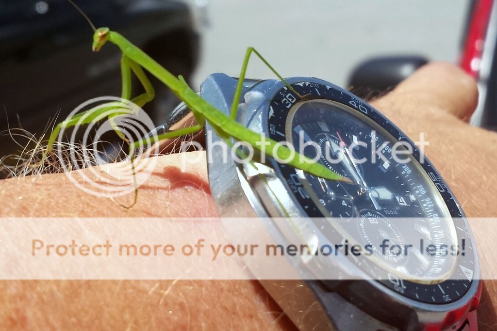 00.jpg