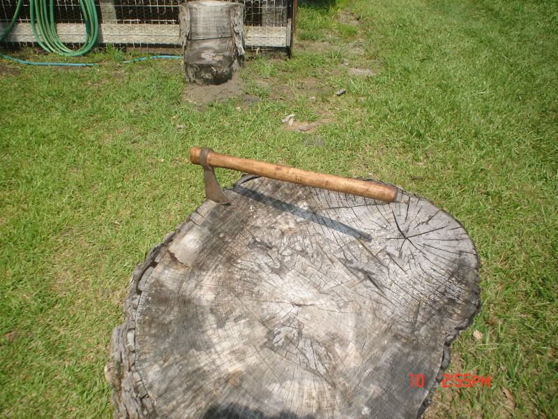 Picture063.jpg