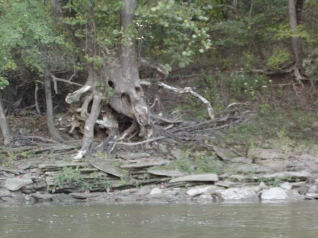 9-10200742.jpg