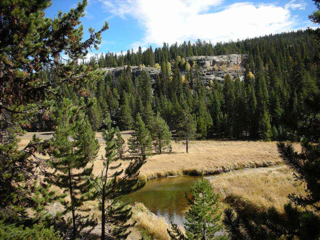 DSCN0521.jpg