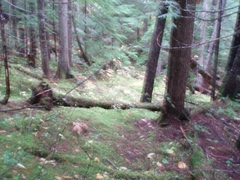 Oct2011008.jpg