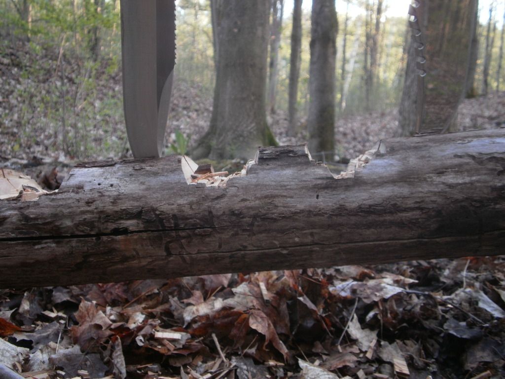 P5147057_zps1fzarcdc.jpg