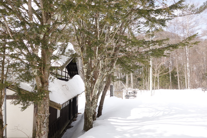2015.02.08.DSC08904.JPG